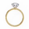 Ring Yellow Gold - R0043