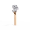 Band Rose Gold - B0011
