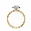 Ring Yellow Gold - R0029