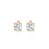 Earring Rose Gold - E0051