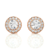 Earring Rose Gold - E0053
